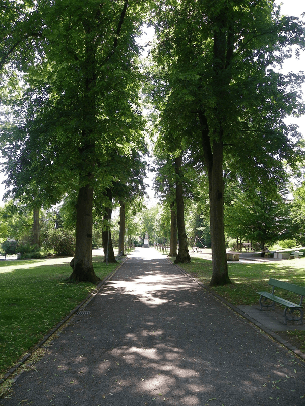 Smartcity Schaffhausen